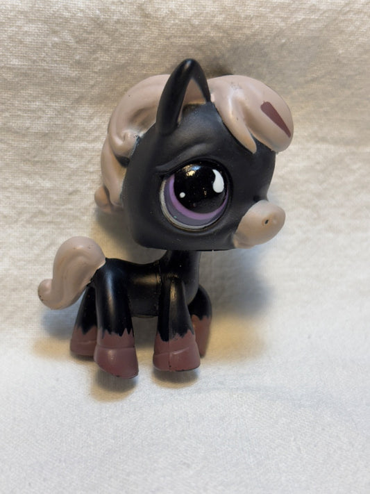 LPS Black Grey Horse GSK