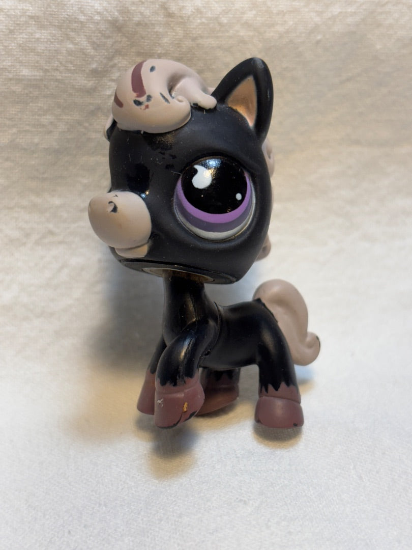 LPS Black Grey Horse GSK