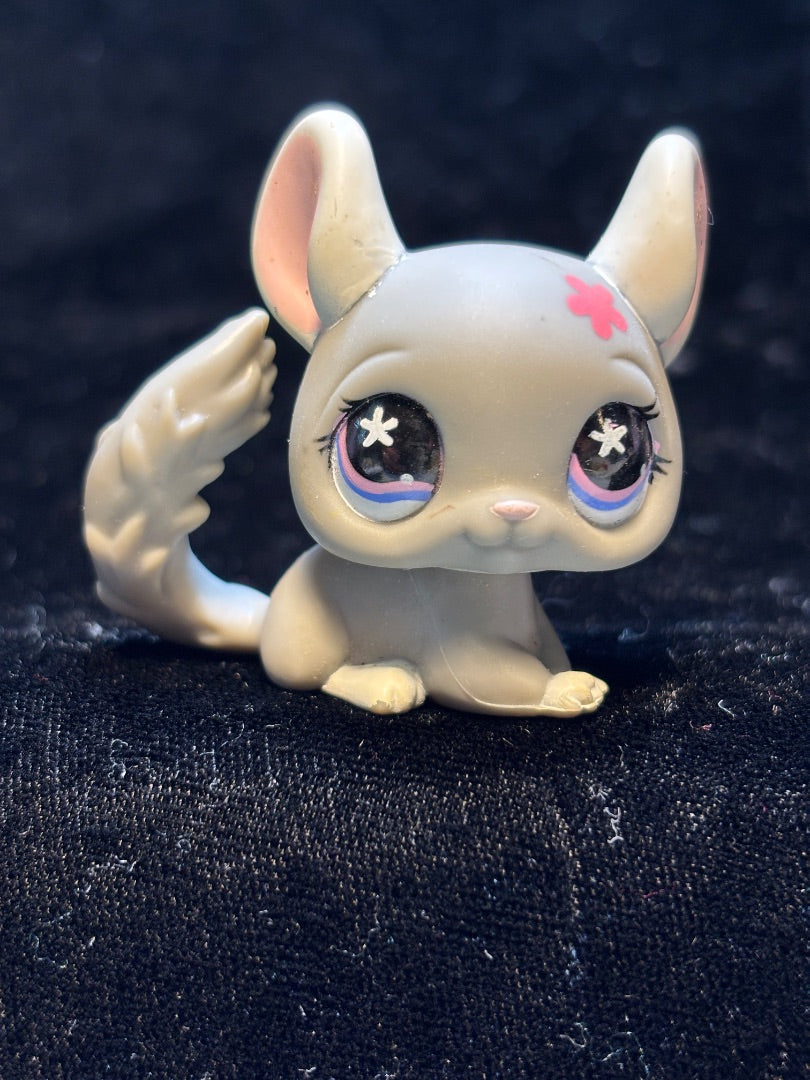 LPS Gray Chinchilla