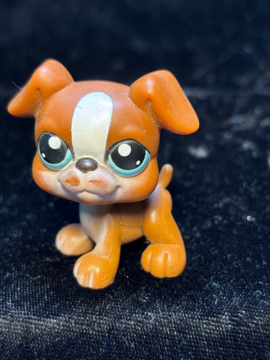 LPS Brown Boxer Dog