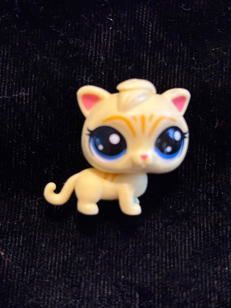 GSK LPS MINI YELLOW CAT