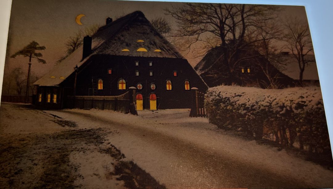 House with snow On It with Bushes At Night