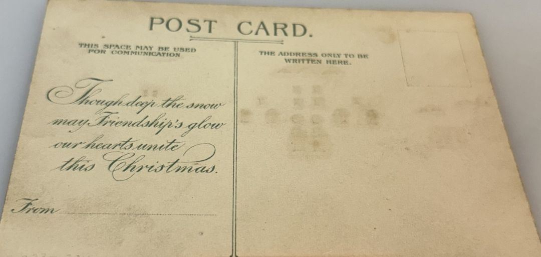 House with snow On It with Bushes At Night