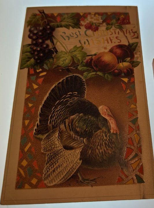 HTL Hold To The Light Best Christmas Wishes Turkey Thanksgiving