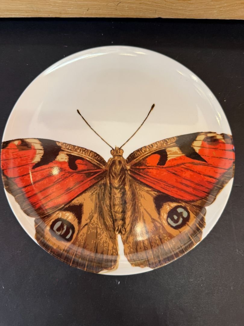 9" Designer Plates
