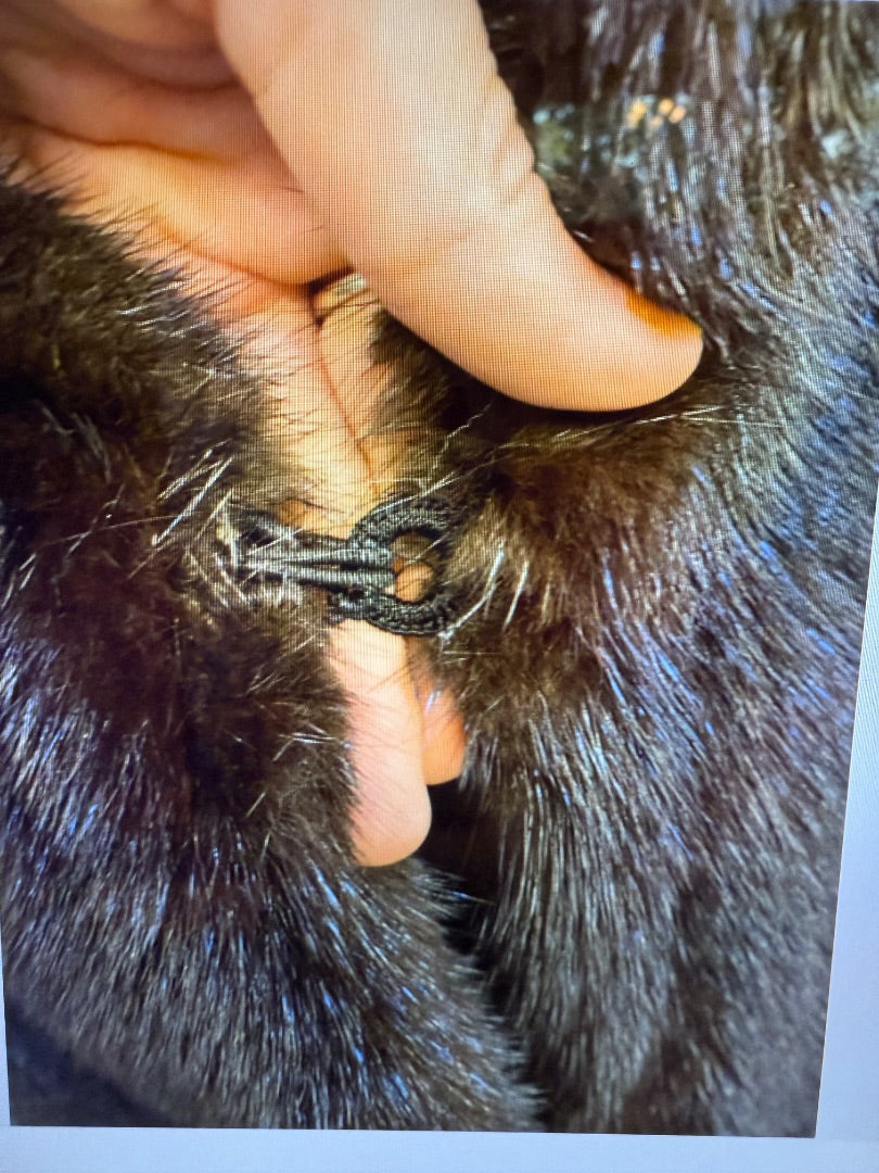 Brown Barth Wind Furs Mink Coat Ranch