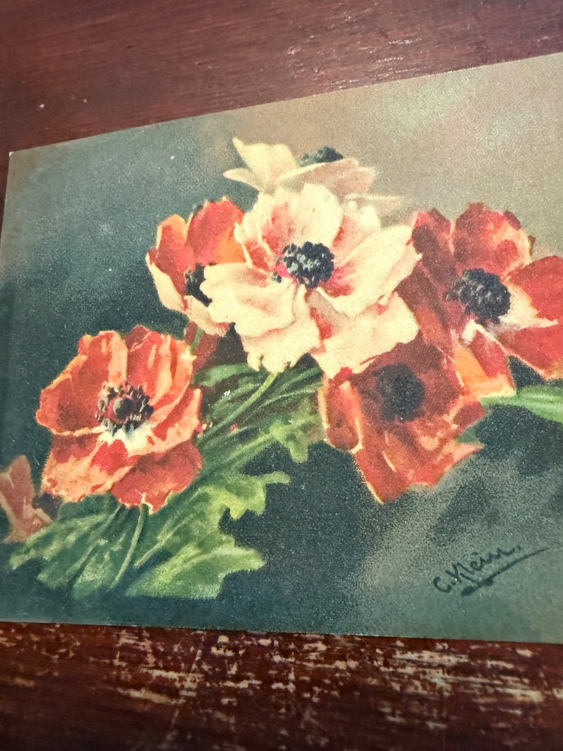 Catherine Klein Floral Flowers artist signed