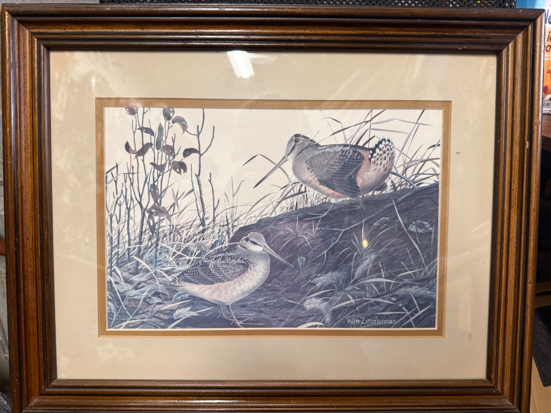 Framed Zimmerman Print