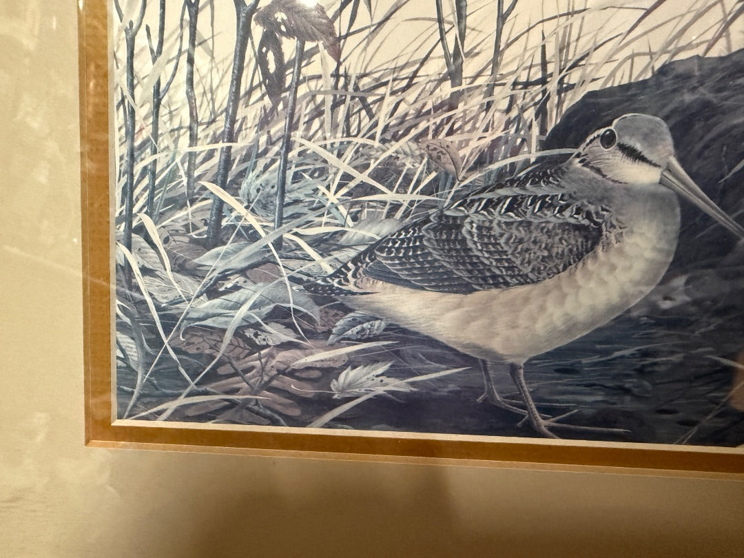 Framed Zimmerman Print