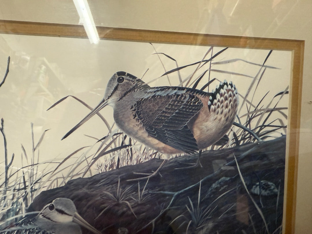 Framed Zimmerman Print