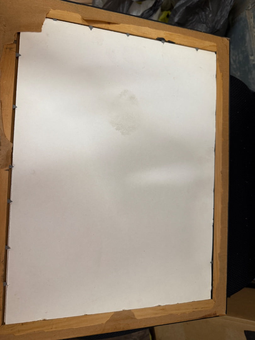 Framed Zimmerman Print