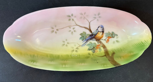Germany Hand Painted Celery Dish