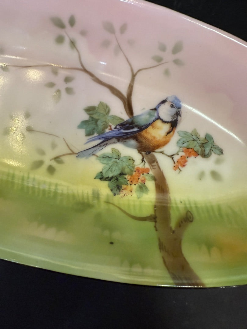 Germany Hand Painted Celery Dish
