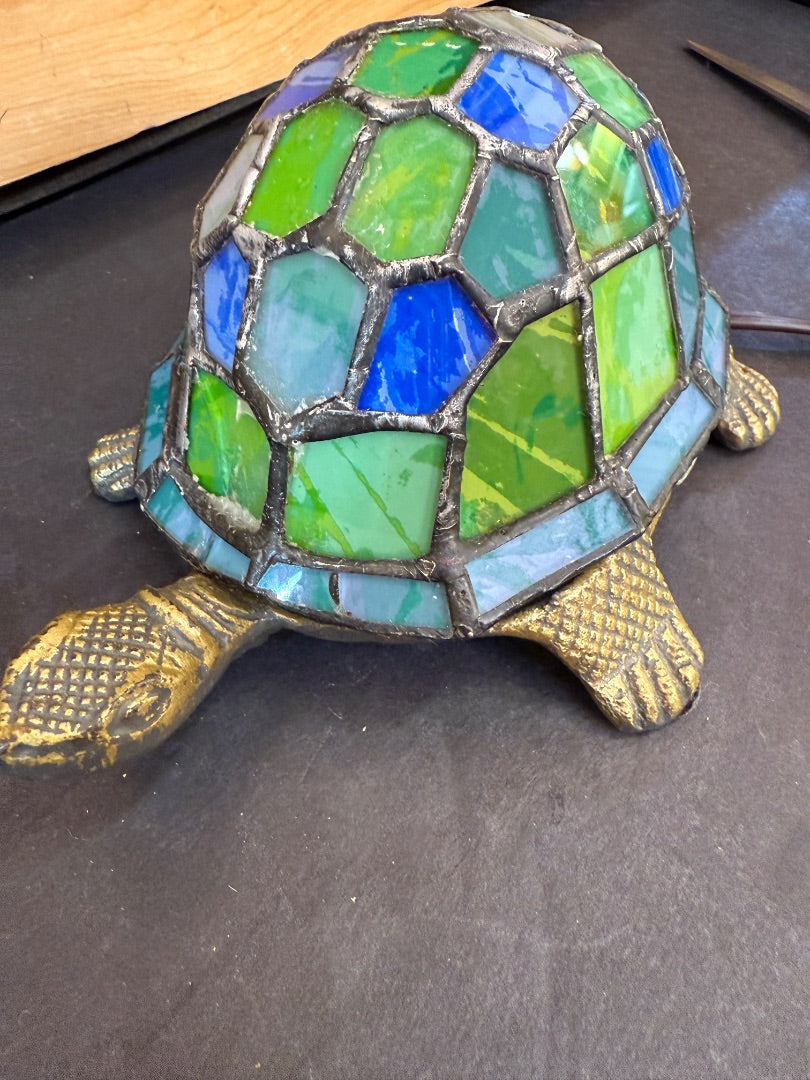 Turtle Light