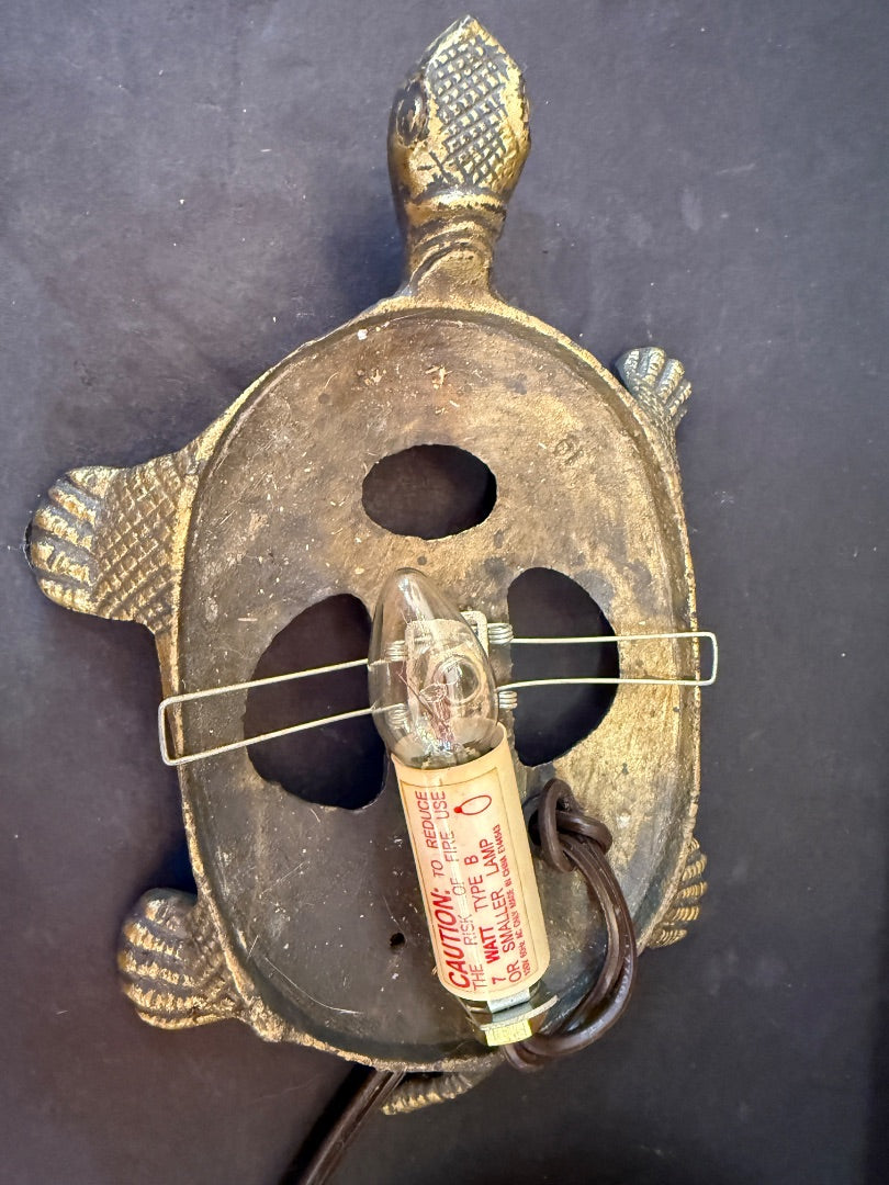Turtle Light