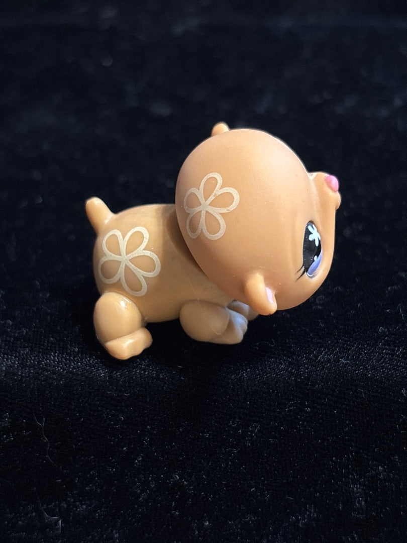 GSK LPS Beige Hamster #625