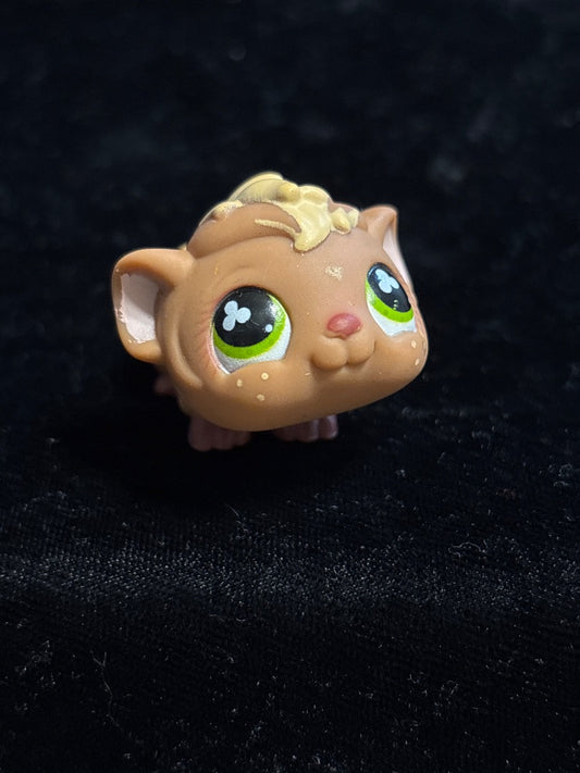 GSK LPS Brown/Beige Guinea Pig #753