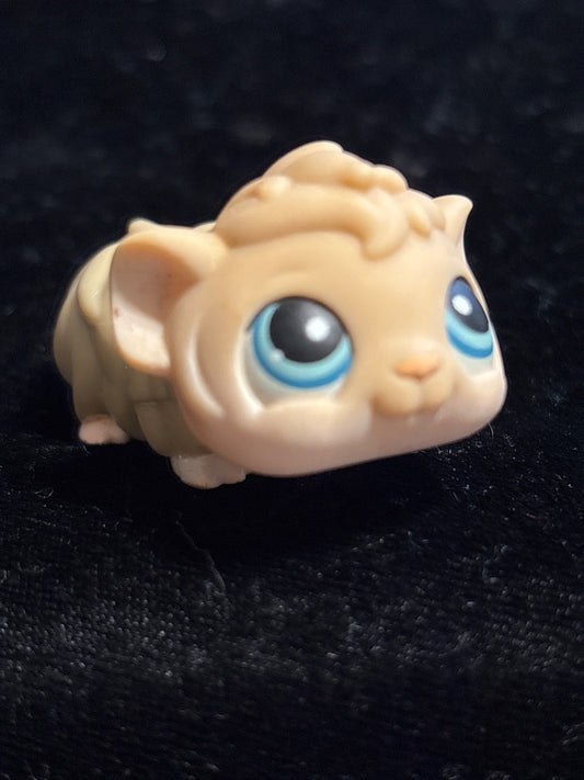 GSK LPS Tan Guinea Pig #157