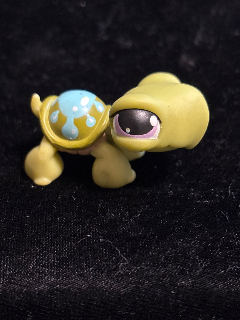 GSK LPS Turtle #149