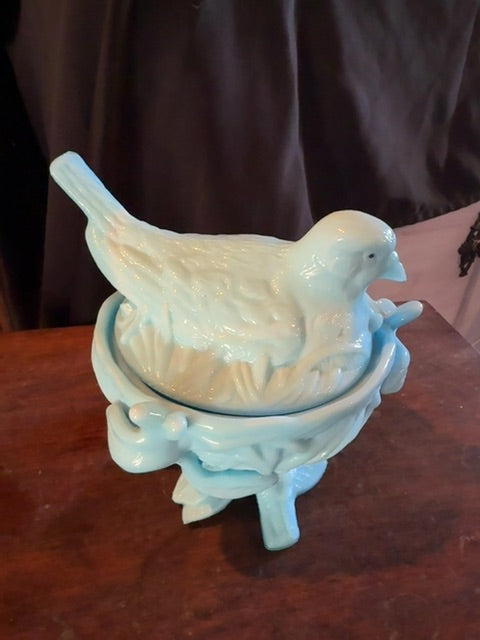 Bird in nest. Blue, 6x6