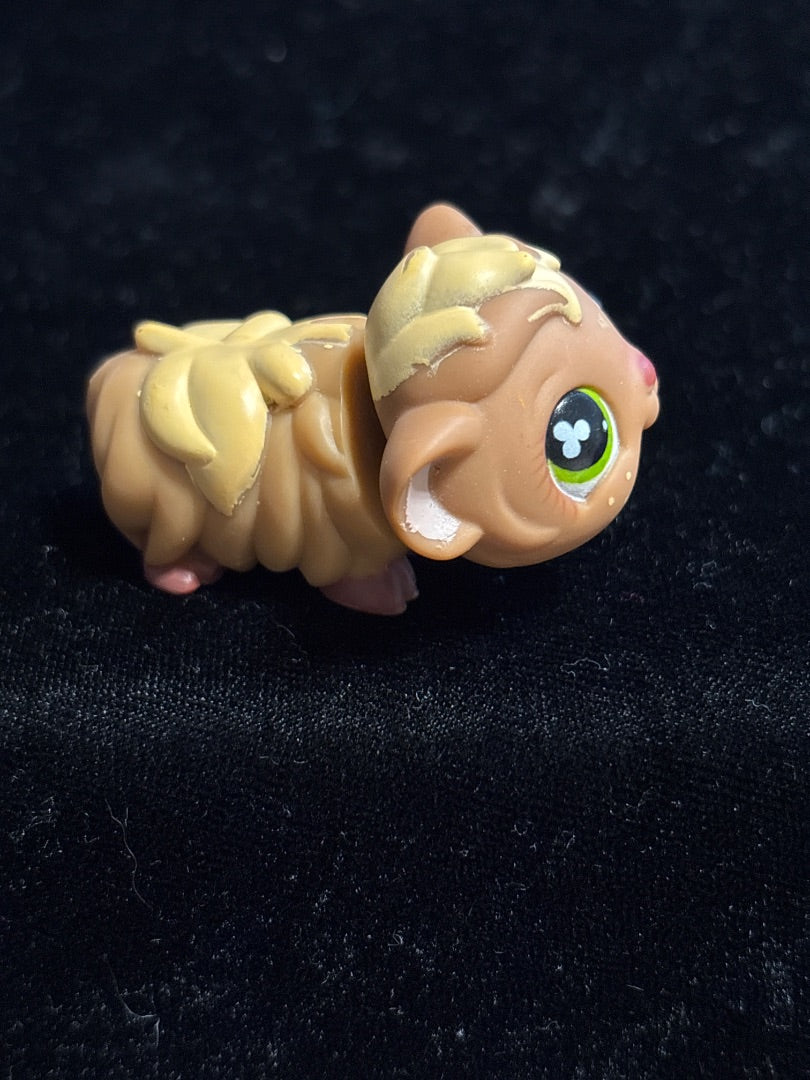 GSK LPS Brown/Beige Guinea Pig #753