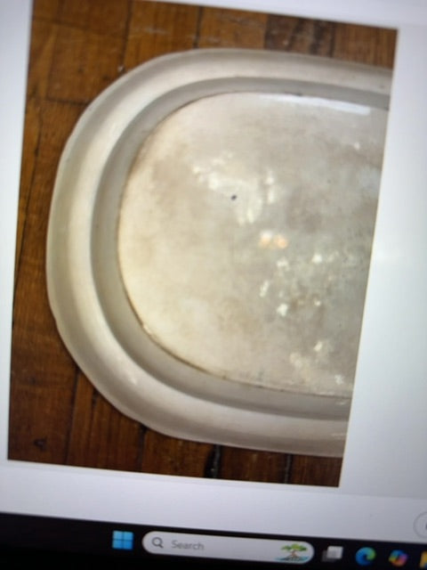 Blue Staffordshire Blue Williow