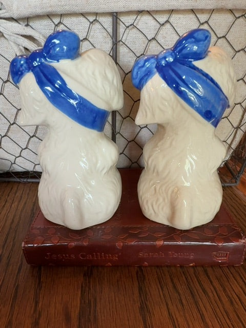 Hurt Dogs Shawnee Salt & Pepper Shakers, 5"