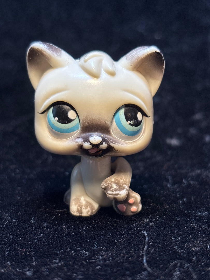 LPS Siamese Cat Kitten