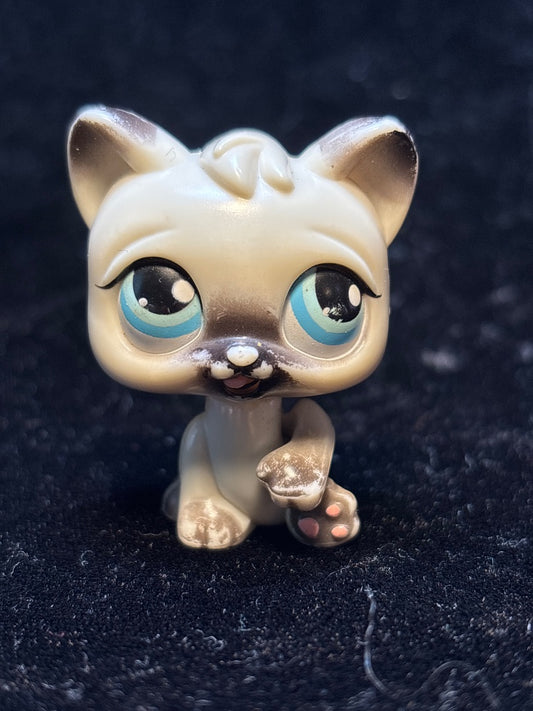 LPS Siamese Cat Kitten