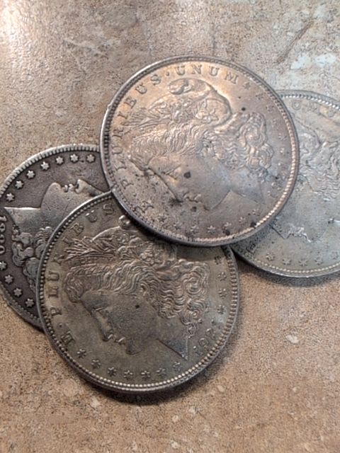 Common Morgan Dollars