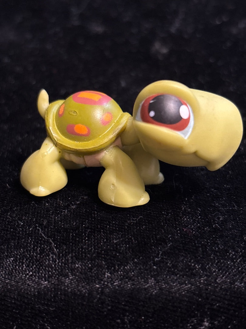GSK LPS Turtle #008