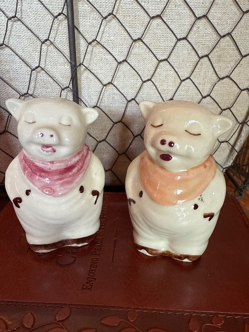 Shawnee Salt & Pepper