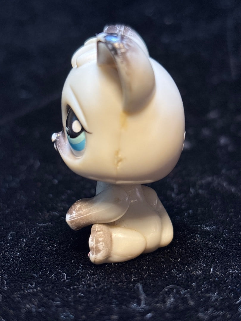 LPS Siamese Cat Kitten