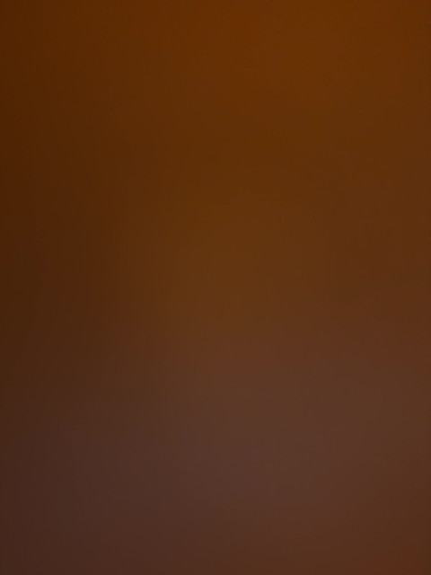 Gold  Gold napkin holders