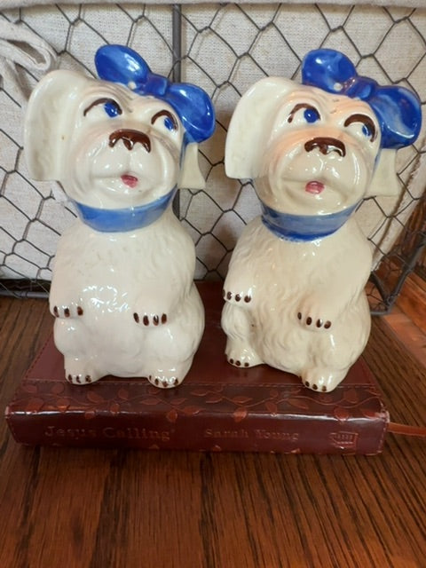 Hurt Dogs Shawnee Salt & Pepper Shakers, 5"