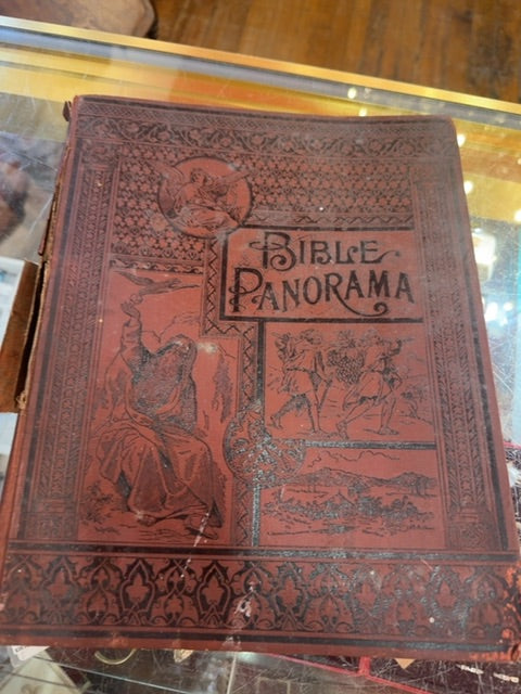1891 picture bible
