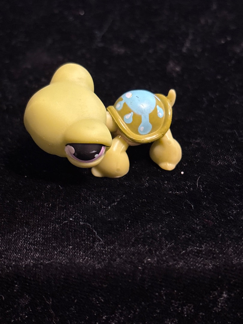 GSK LPS Turtle #149