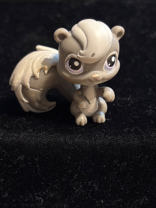 GSK LPS Gray Squirrel #132