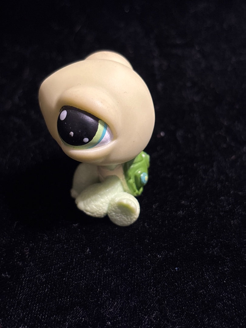LPS Sitting Turtle #321 GSK