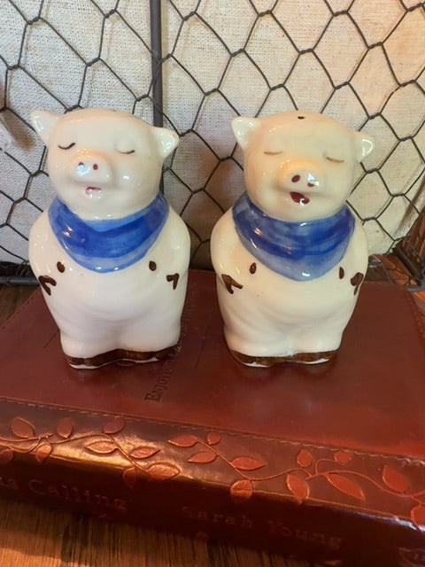 Blue Smiley Pigs Shawnee Salt & Pepper Shakers
