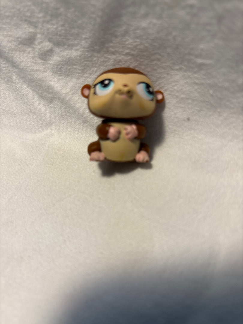 GSK LPS Hamster 2009