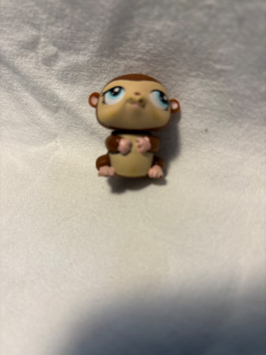 GSK LPS Hamster 2009