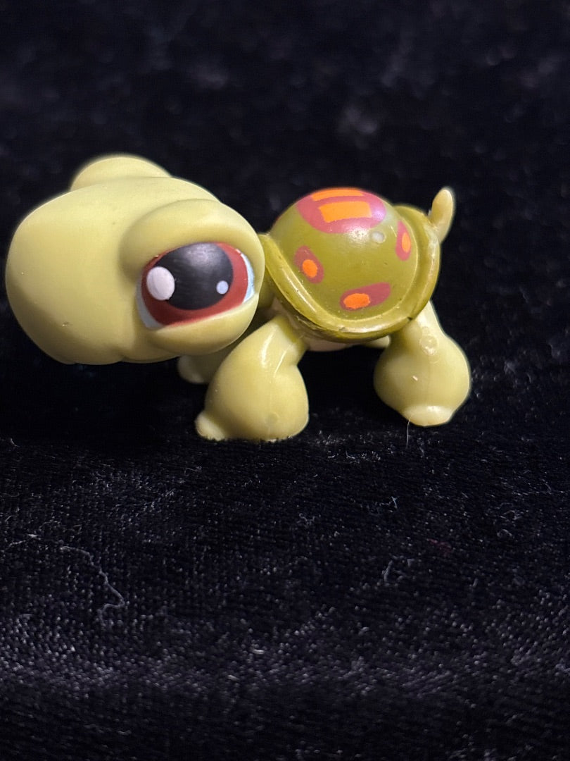 GSK LPS Turtle #008