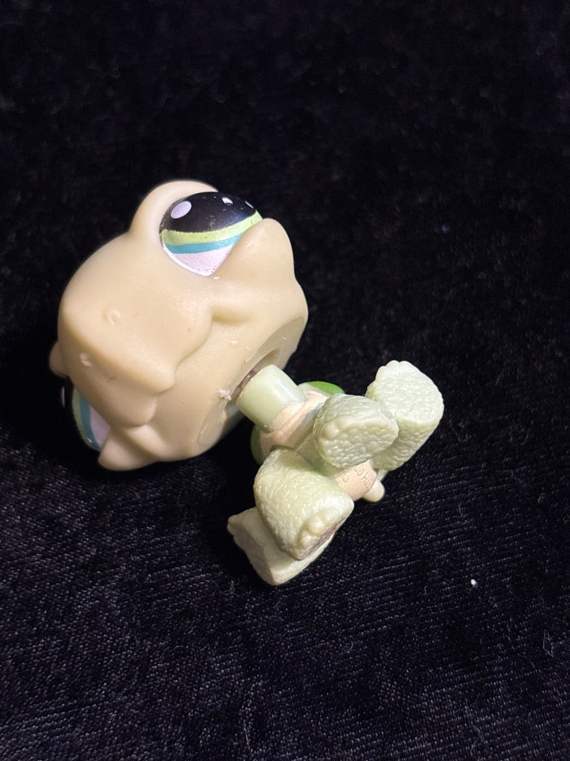 LPS Sitting Turtle #321 GSK