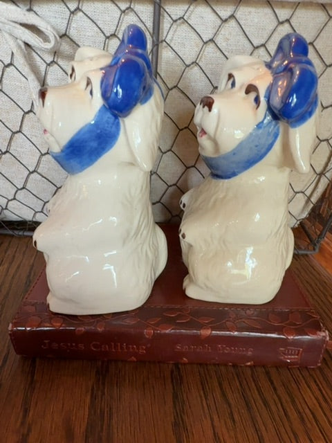 Hurt Dogs Shawnee Salt & Pepper Shakers, 5"