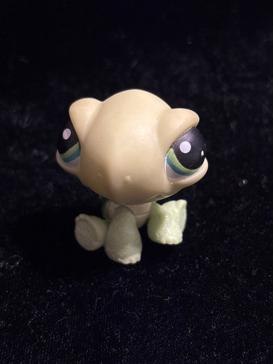 LPS Sitting Turtle #321 GSK