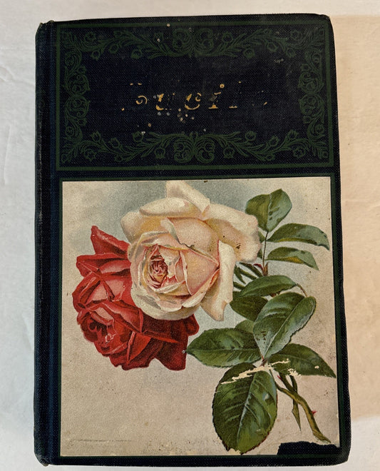 LUCILE By Owen Meredith book Hurst & Company New York