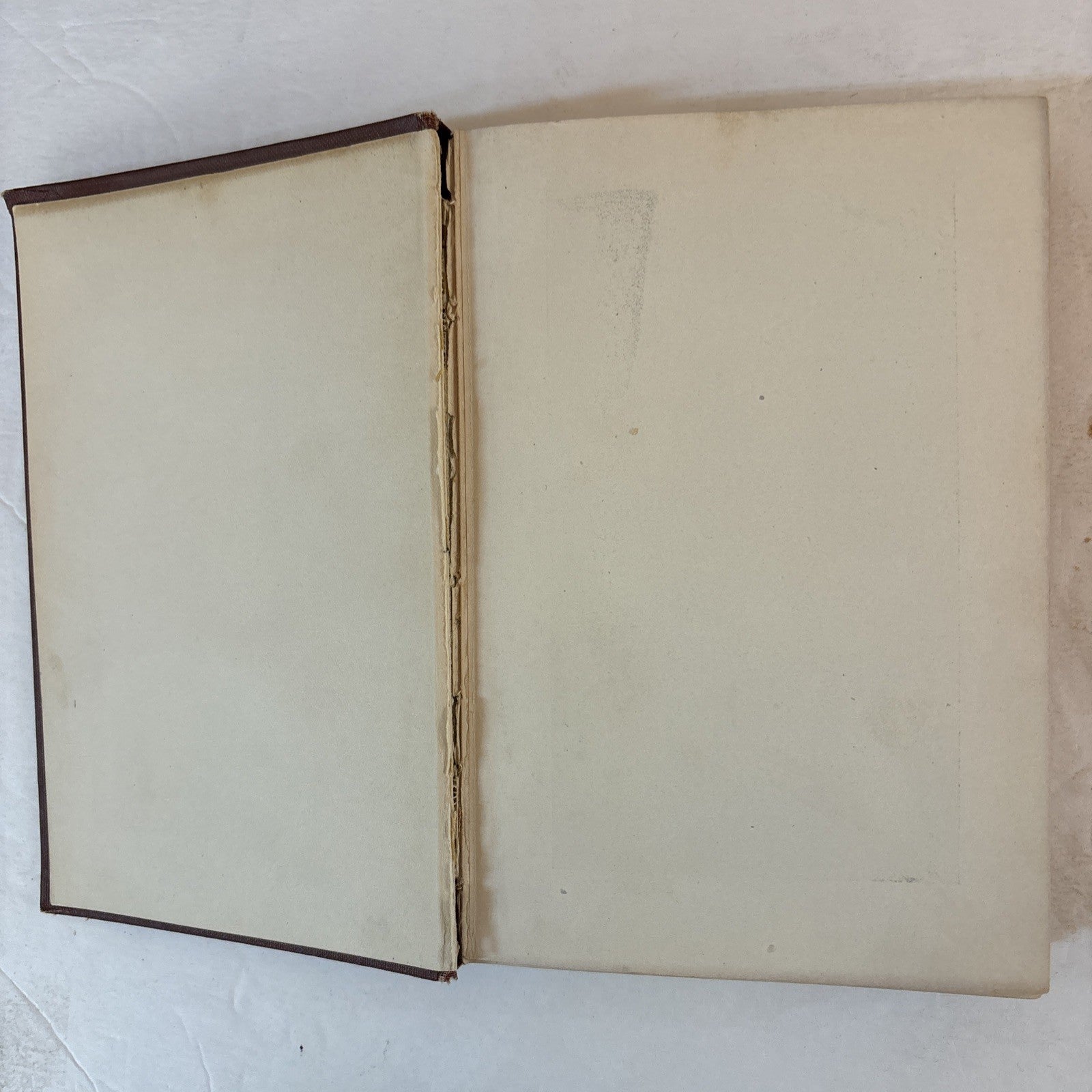 Up From Slavery Autobiography Booker T. Washington 1901 Book