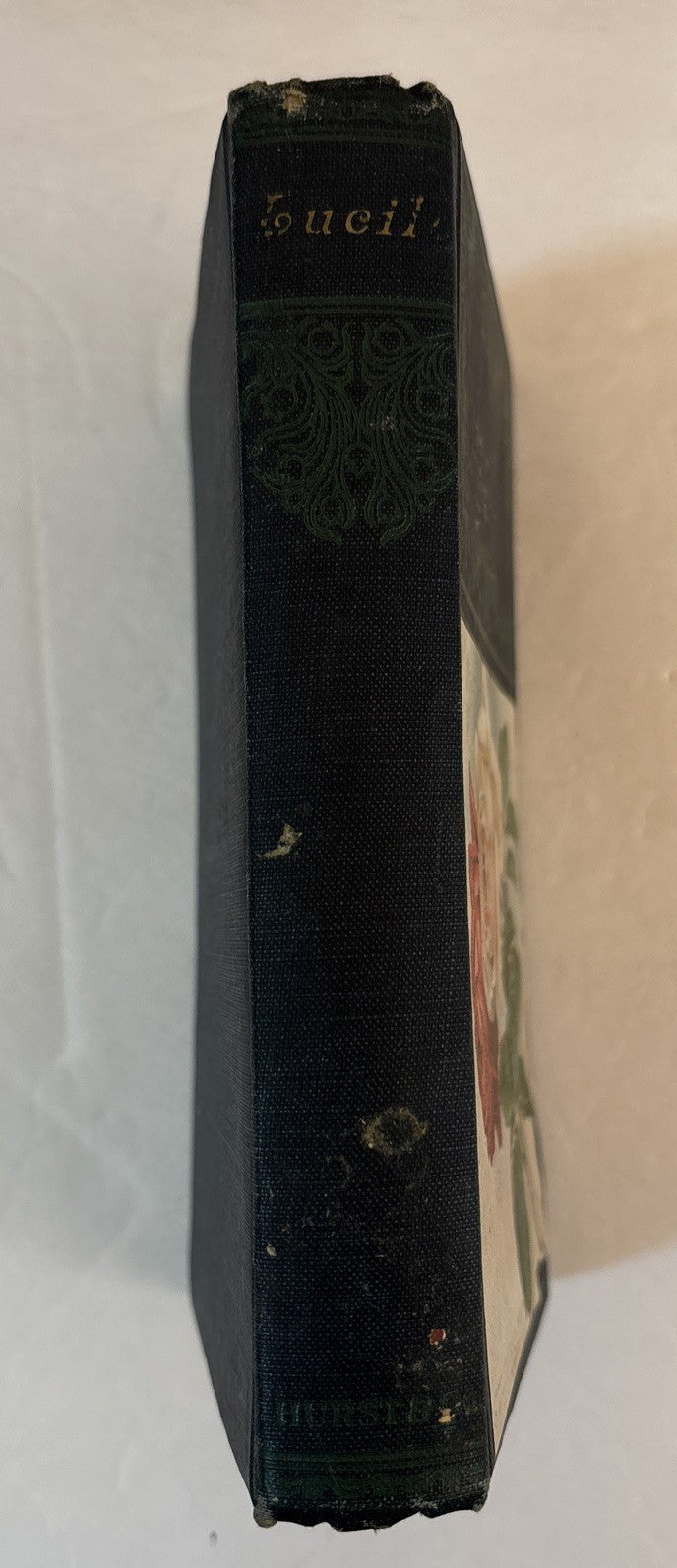 LUCILE By Owen Meredith book Hurst & Company New York